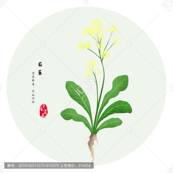 手繪菘藍