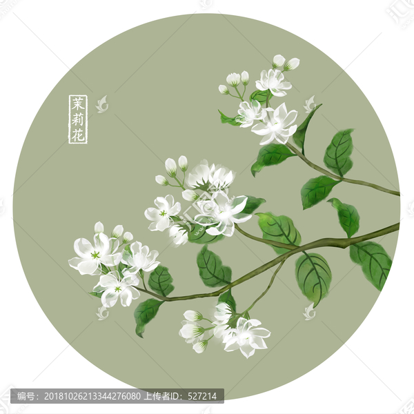 茉莉花