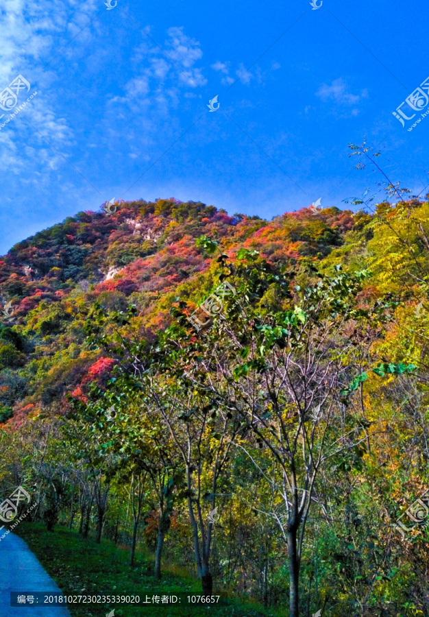 醉美秦岭