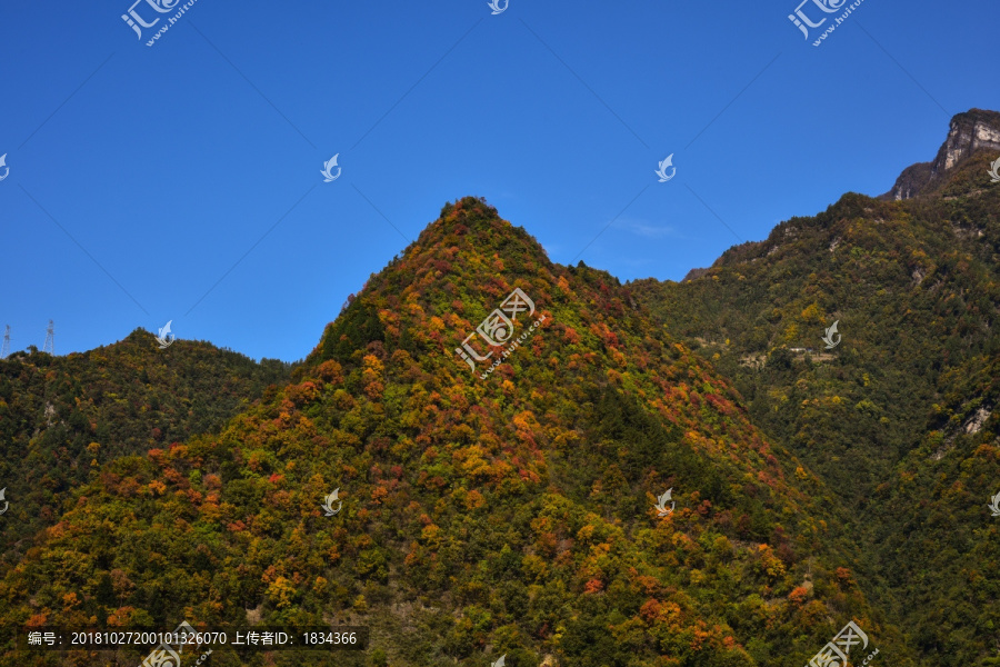 山