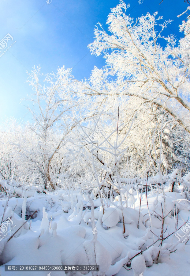 雾凇雪景