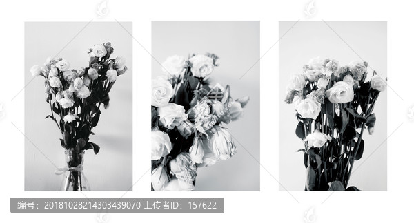 黑白摄影系列之花
