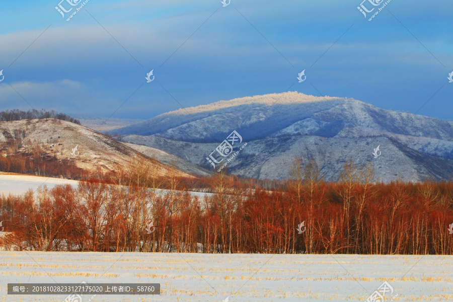 雪域山野森林