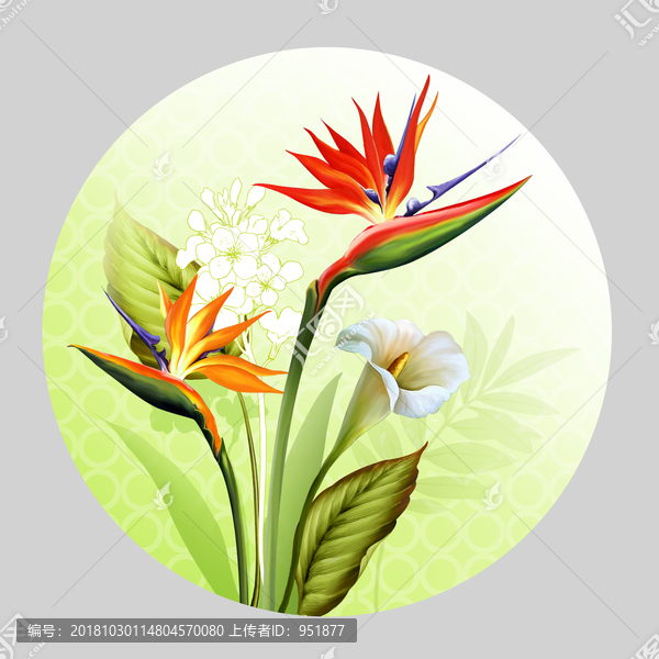 創(chuàng)意設(shè)計天堂鳥紅花