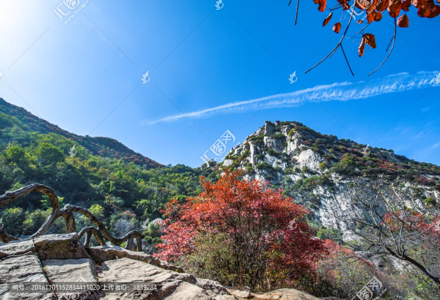 翠华山石海与红叶