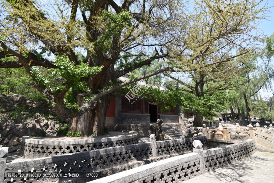 晋祠王琼祠