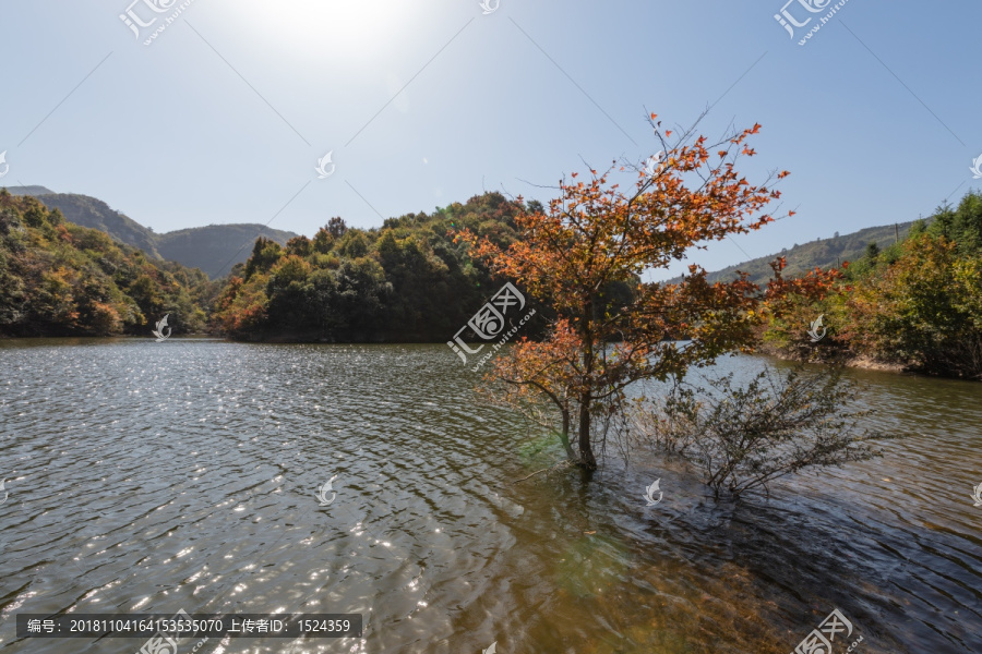 绿水青山