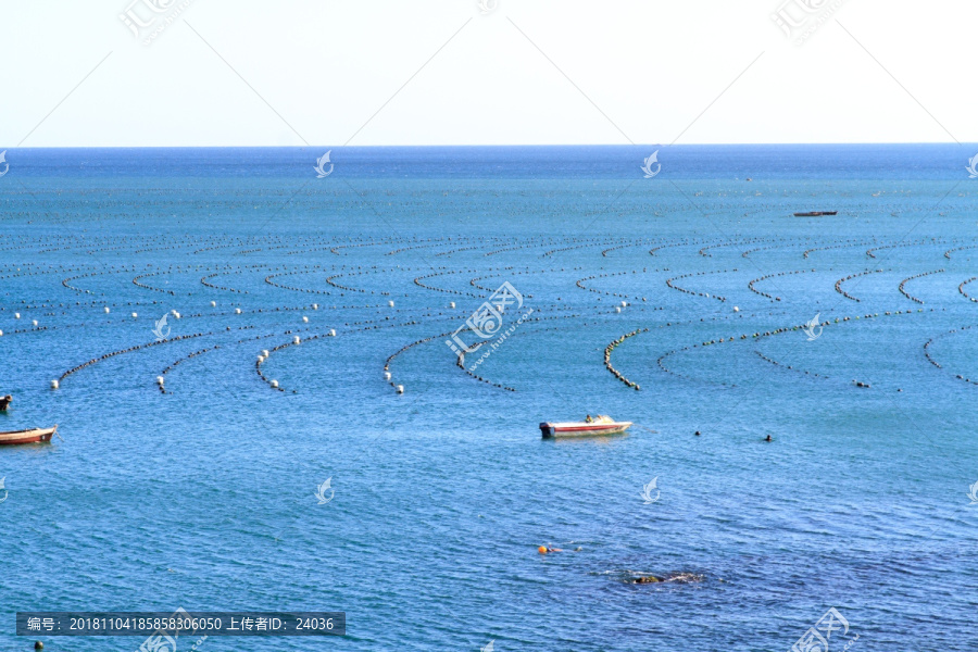 大连旅顺黄金山海域养殖筏