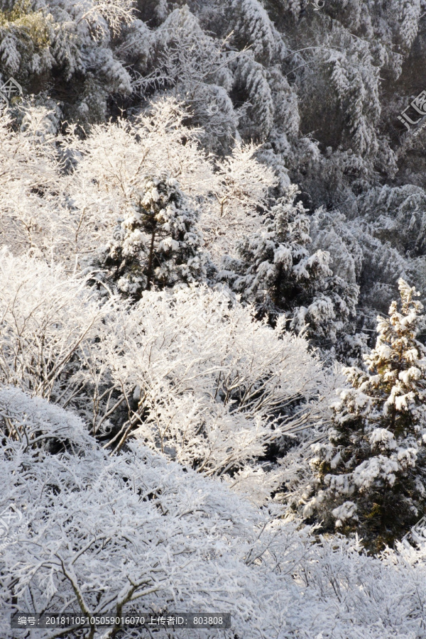 寒冬冰雪照片