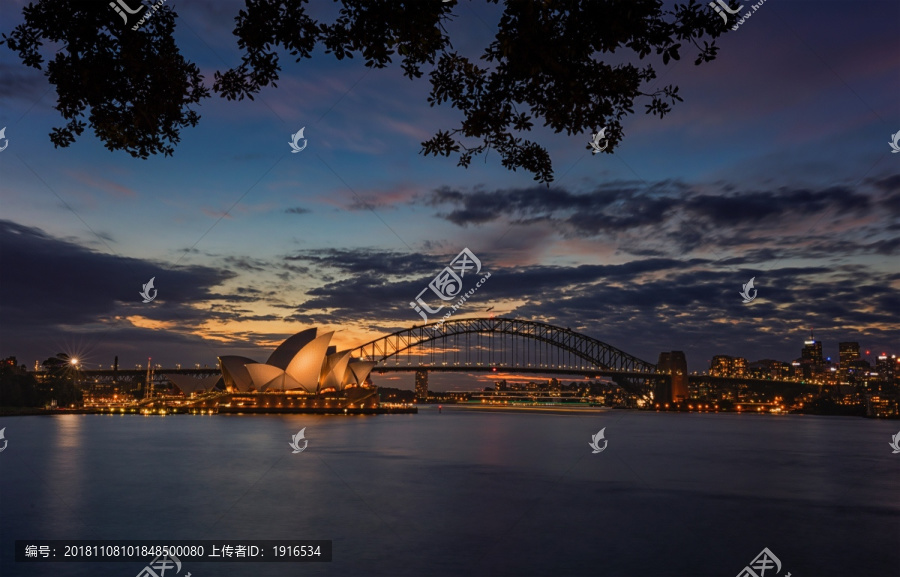 悉尼歌剧院的夜景