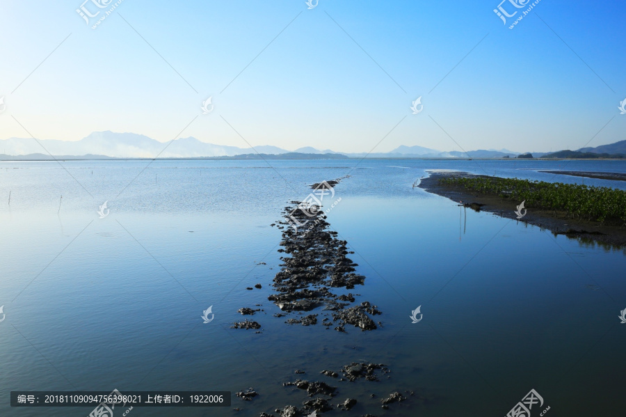 惠州盐洲岛湿地公园