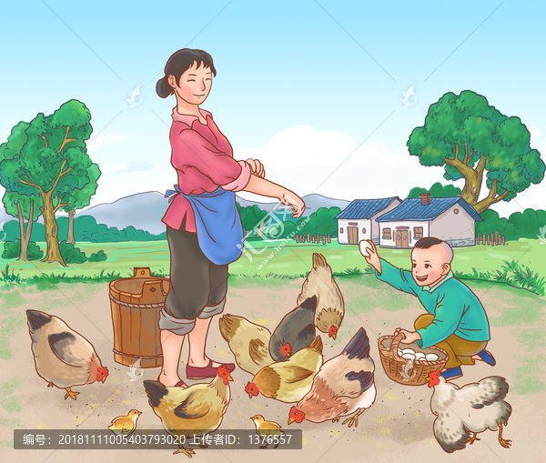 養(yǎng)雞
