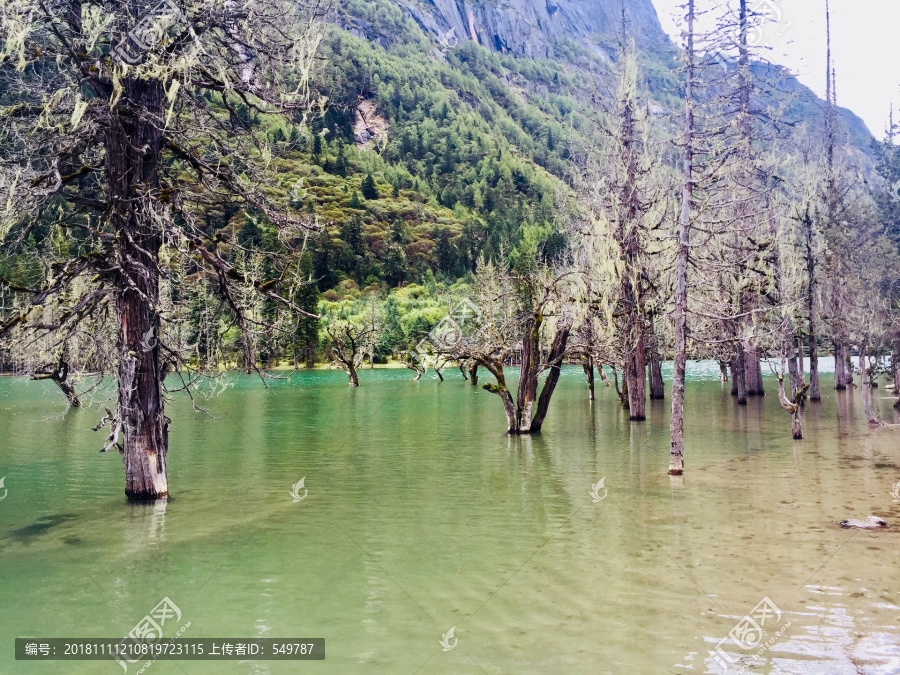 高山湖泊