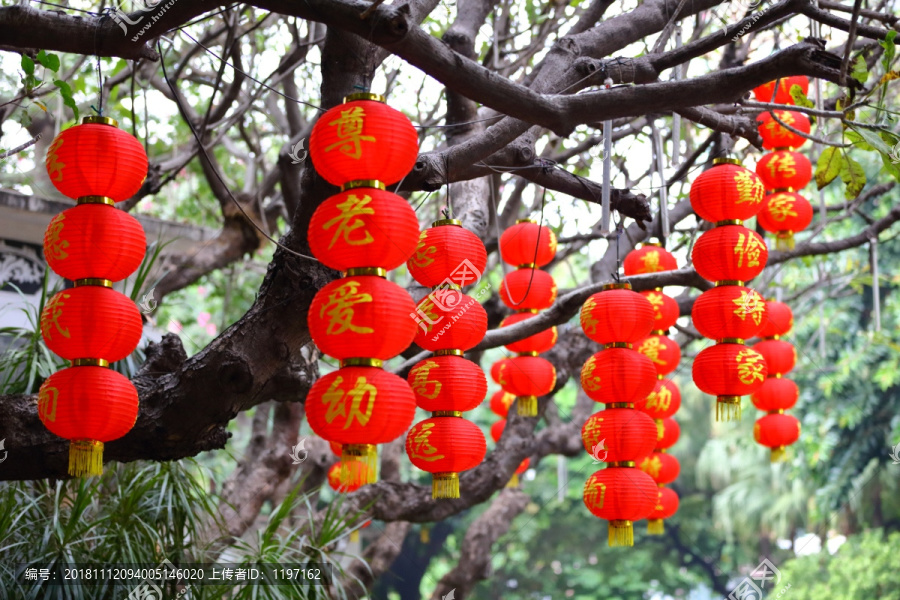 大红灯笼高高挂