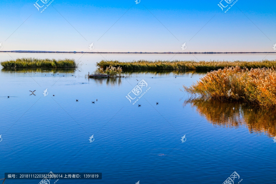 额济纳居延海