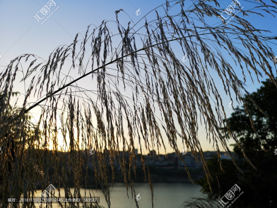 樟湖镇风光