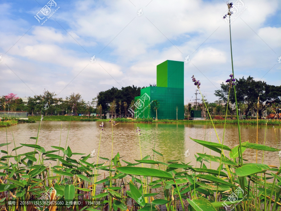 公园湖泊美景