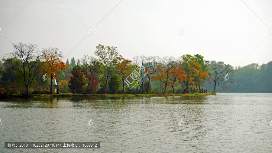 紫金山前湖秋色