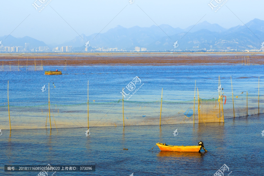 紫菜养殖海域