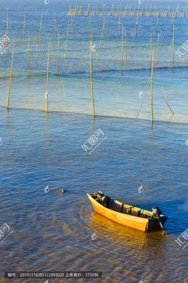 紫菜养殖海域