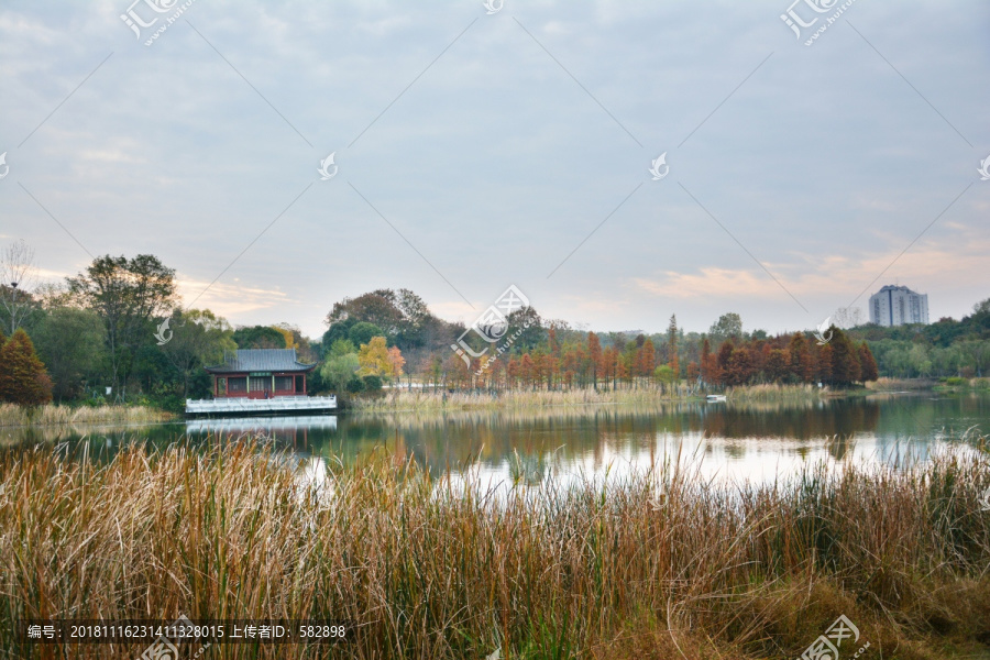 湖泊美景