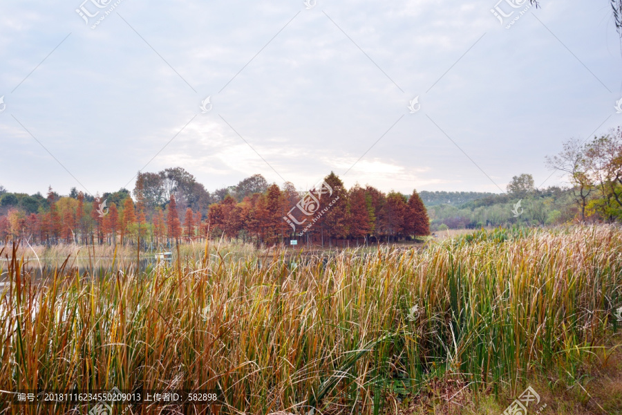 湖畔秋景