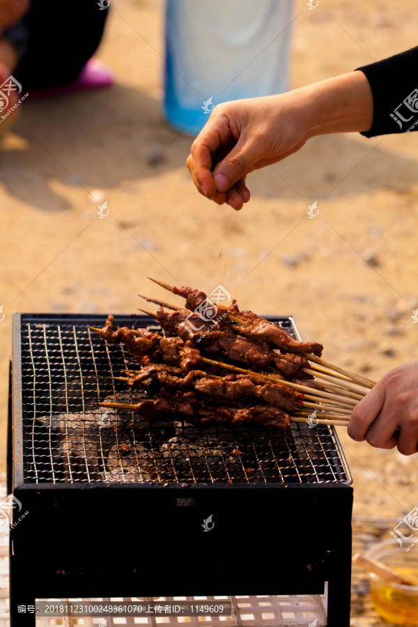 野炊烧烤