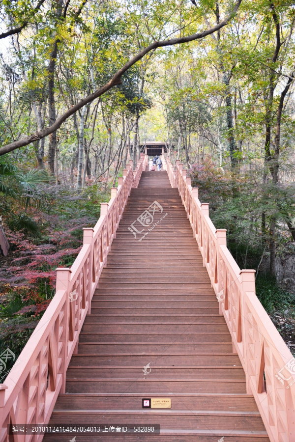 林间栈道