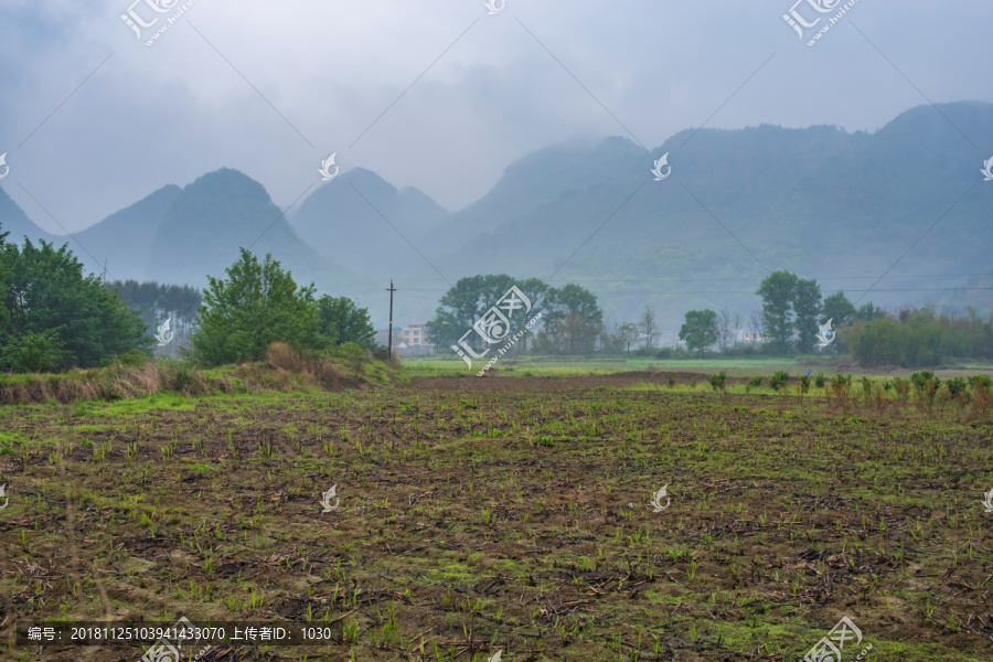 乡村小景