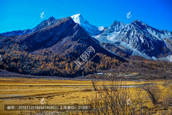 稻城亚丁秋天秋季秋景