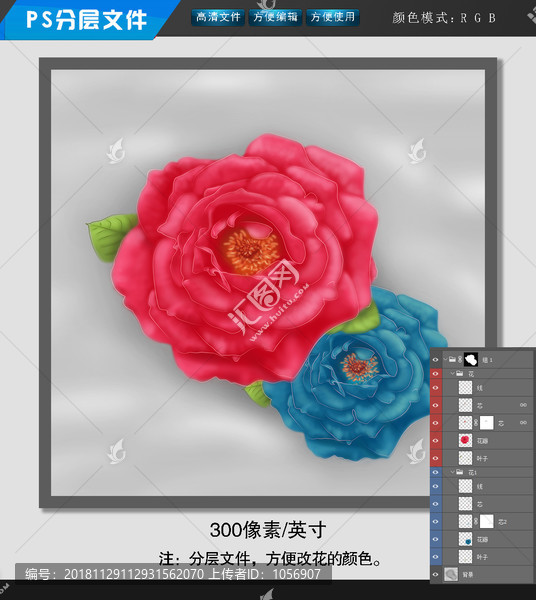 月季電腦繪畫
