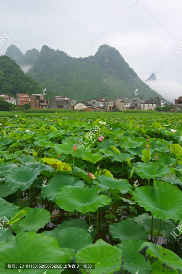 风景