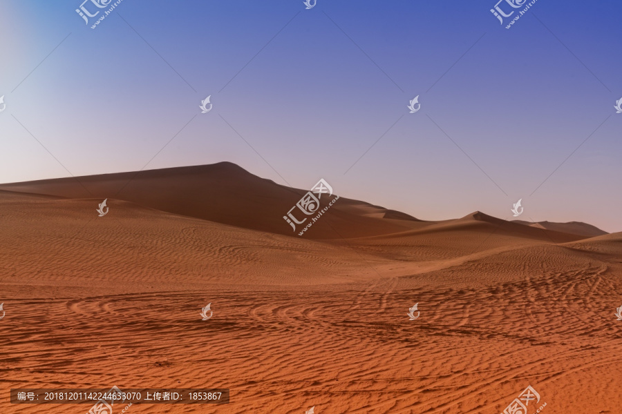 塔里木沙漠
