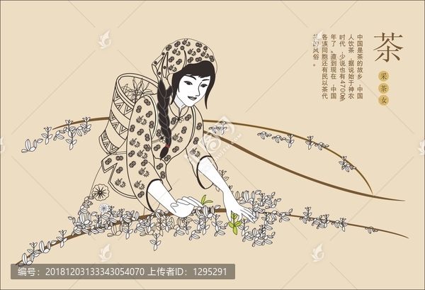 采茶女