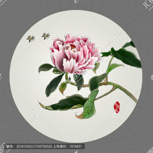 牡丹花工筆畫
