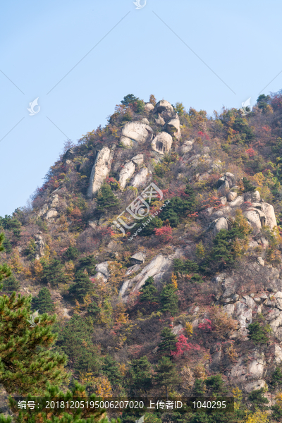 山中秋景植被山石