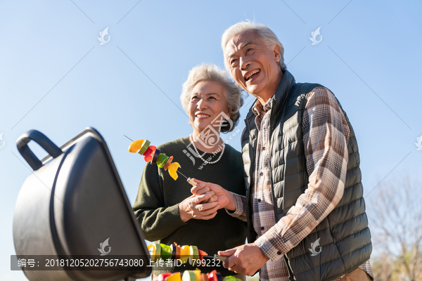 老年夫妻秋游野餐烧烤