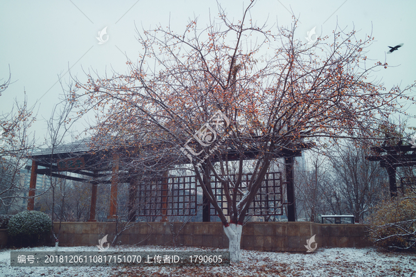 高清雪景