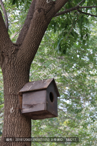 挂在树上的鸟笼小屋