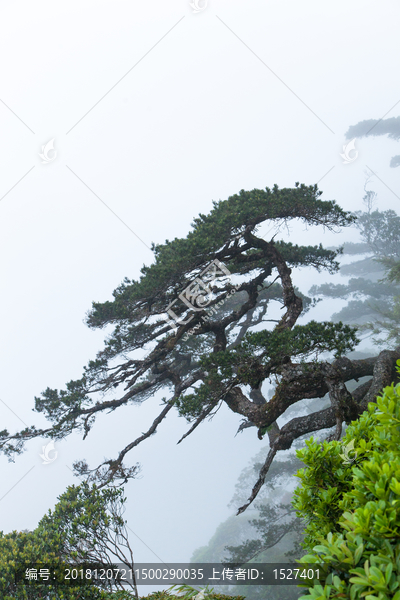 海南五指山国家森林公园