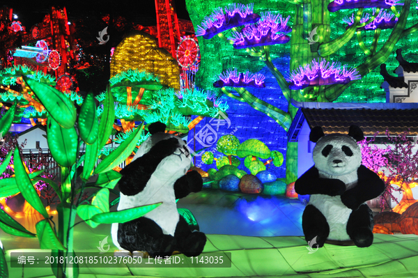 水上灯展熊猫生活