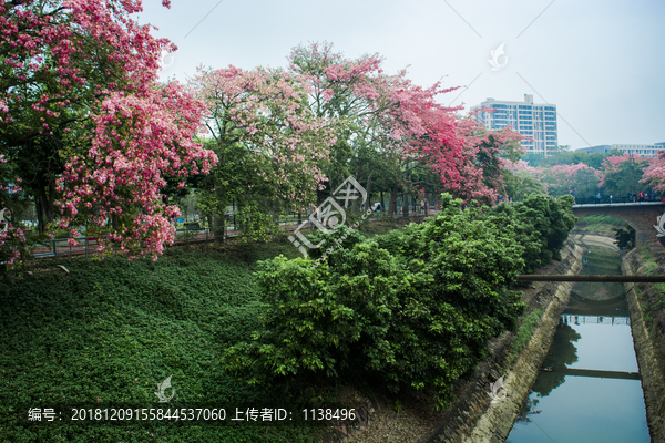 广州大学华软软件学院