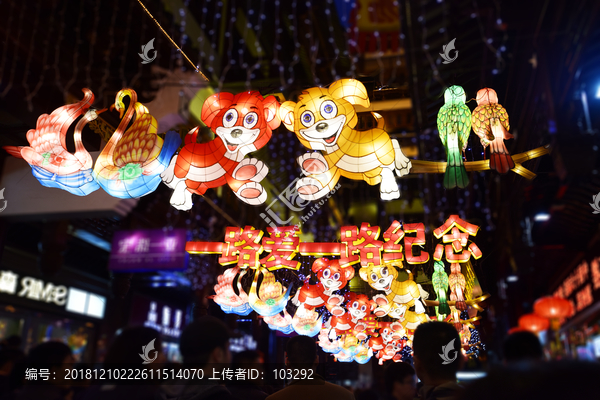 上海豫园的新年花灯