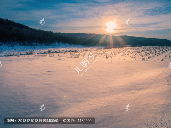 雪原