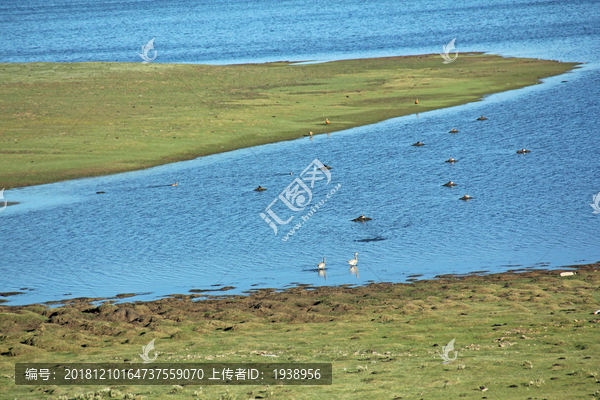 青藏高原风光