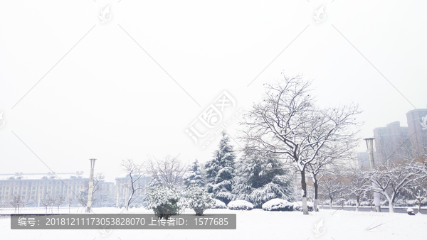 雪景