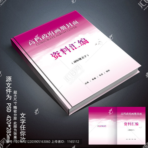 高檔政府畫冊封面