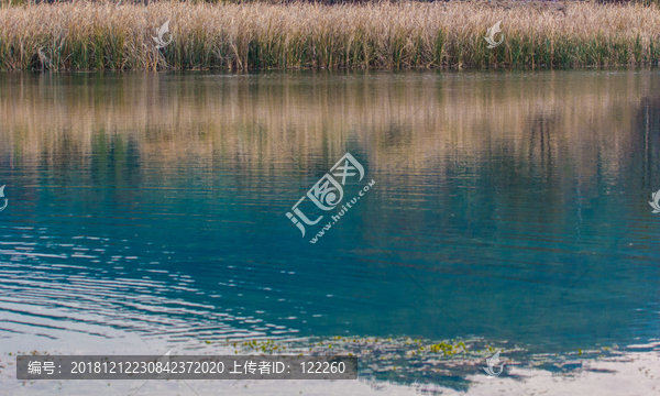 溪流河流