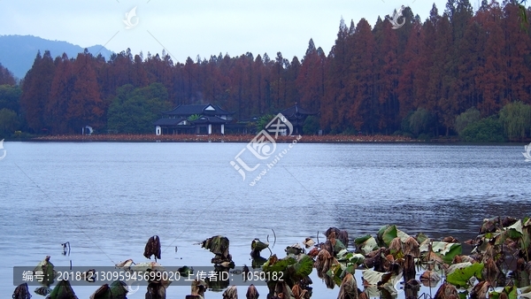 烟雨西湖