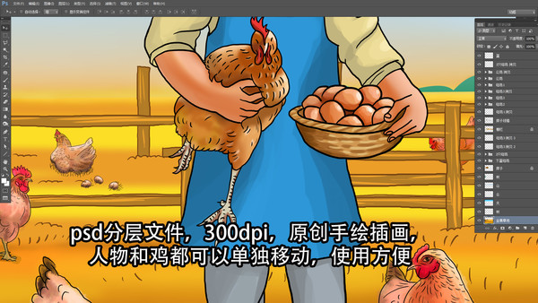 養(yǎng)雞人